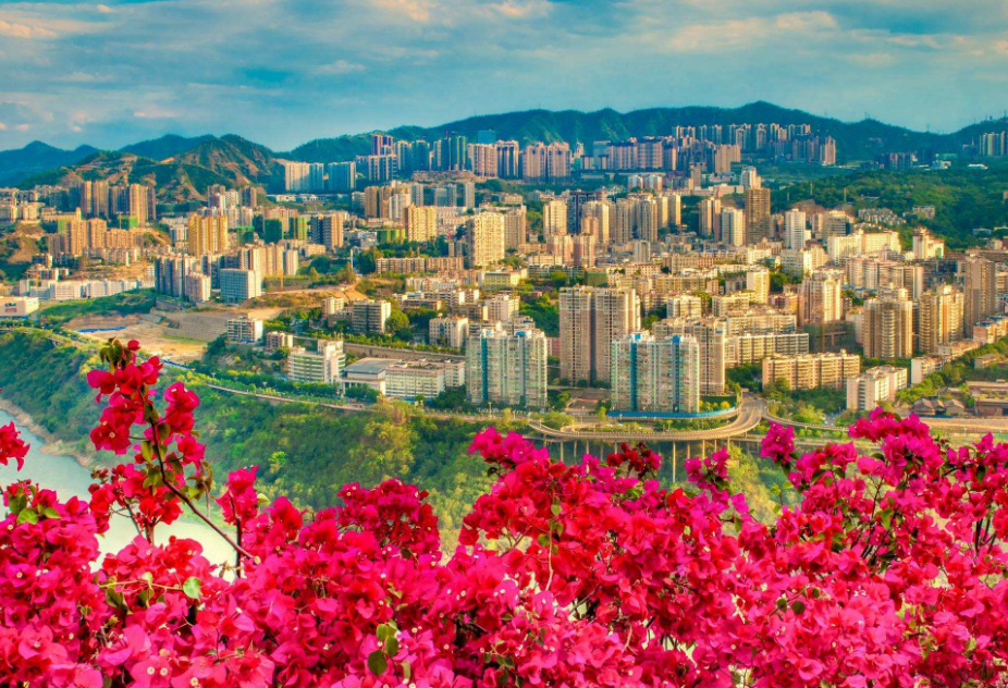 外汇|楼市转折年，我们都理智了