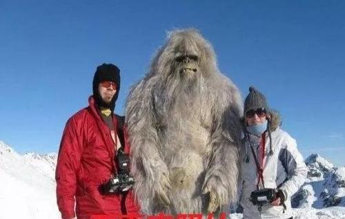 喜马拉雅山 喜马拉雅山雪怪之谜：所谓的雪人来自于三种熊科动物