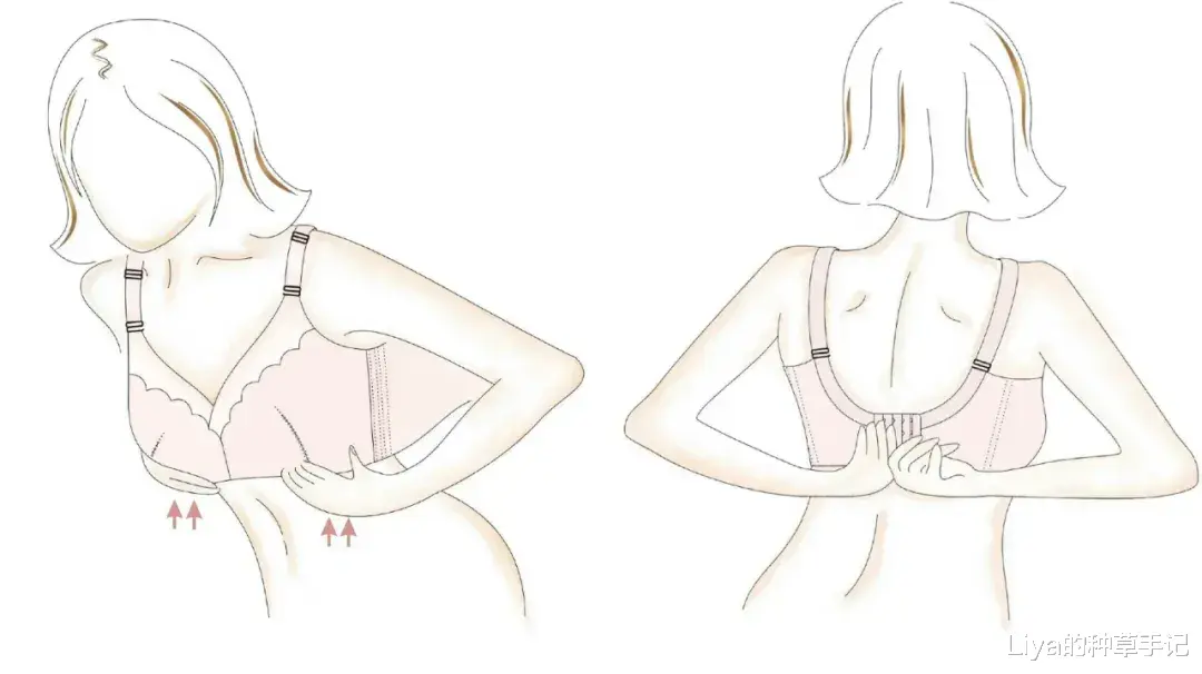 Liya的种草手记|男生到底有多喜欢大胸?