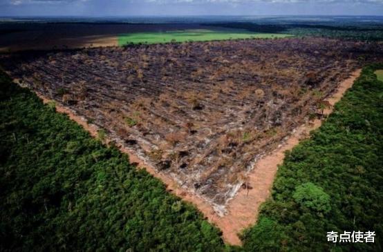 化石 一个不好的消息：非洲80万公顷山林消失后，排放了4.5亿吨二氧化碳