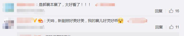 花匠小美|《神雕侠侣》翻拍，文淇扮演郭襄，新版郭芙李莫愁又飒又美