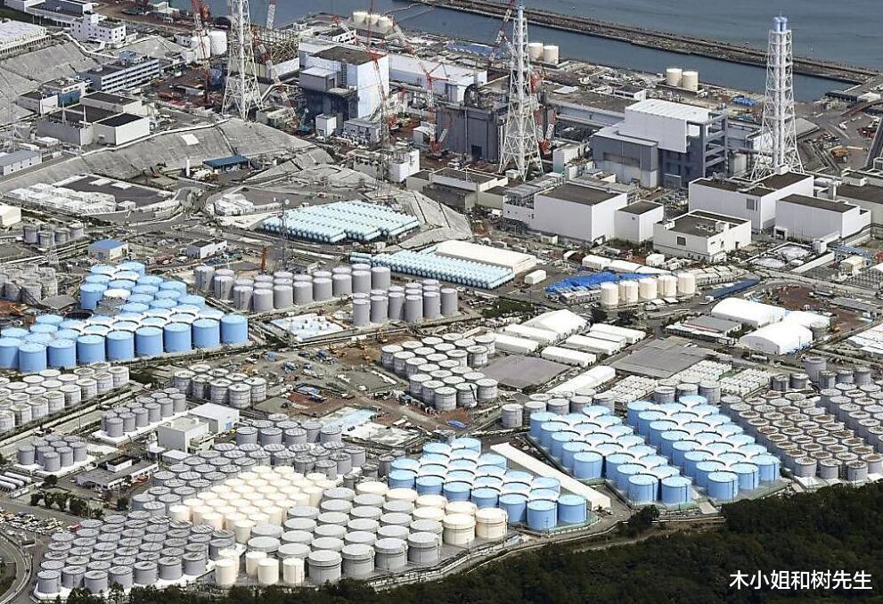 木小姐和树先生|我被亡魂拖进淤泥!《巨浪下的小学》:巨浪下的人心