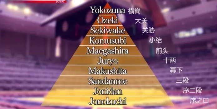 相声演员|为什么日本女明星都愿意嫁给相扑手？