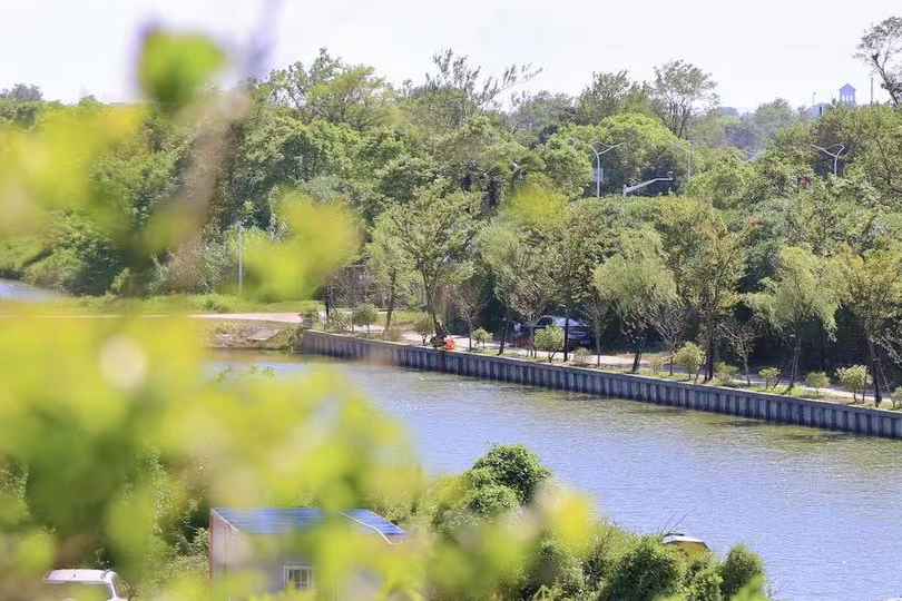 饵料|听说这个钓场不允许空军