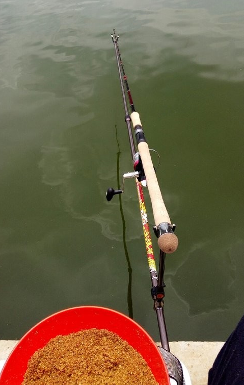 饵料|我分析的浮漂忽上忽下，不中鱼，怎么办的方法