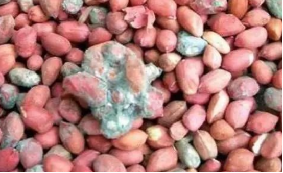 天天听健康 吃一口相当于喝6瓶酒，很多人都“中枪”，肝科主任：常吃等于“自残”