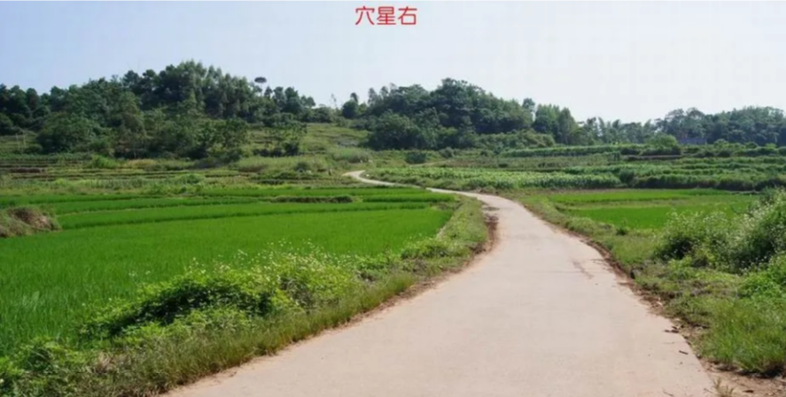玄风八字运势 明师案例：奇特的作法，后人贵至师级