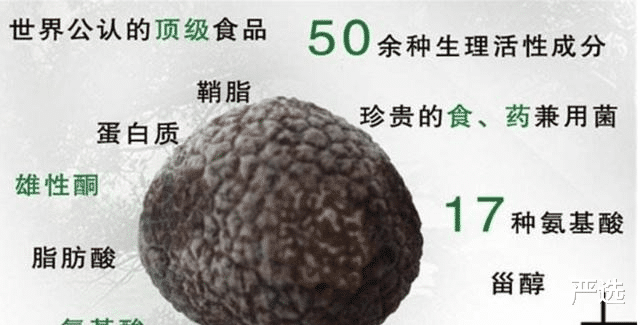 严选|景甜同款牙膏“火了”用完牙都白了，李佳琦：牙膏中的“爱马仕”