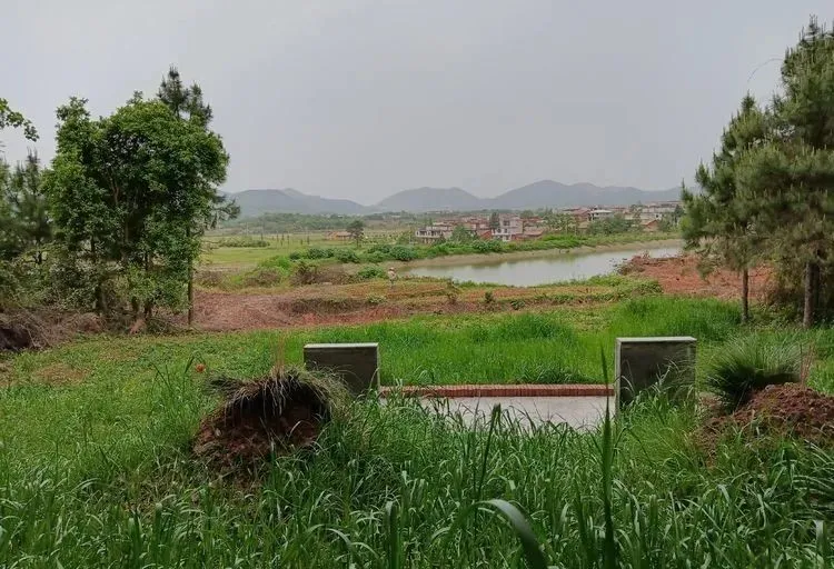情感事业健康 相地风水：明堂如掌心，家富斗量金