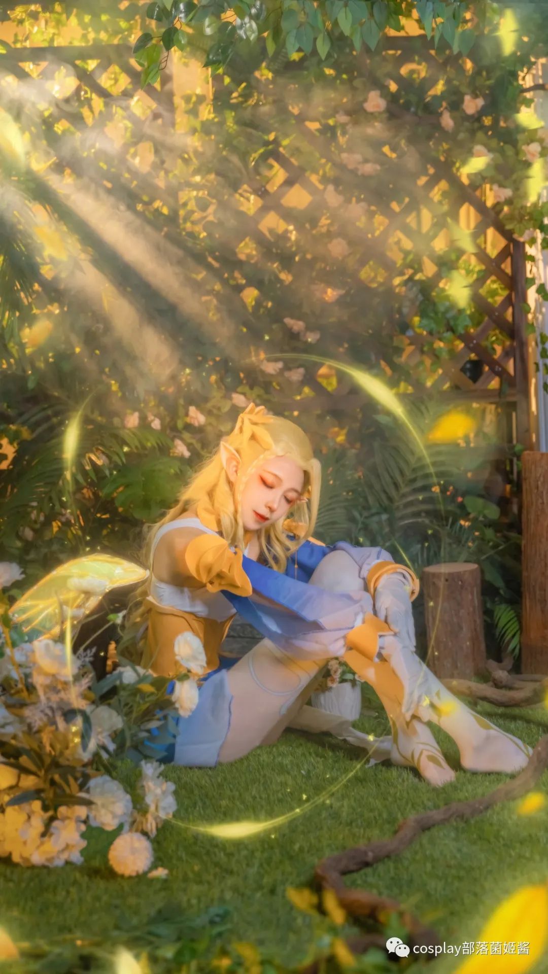 同人|cos：王者荣耀艾琳同人cos正片@猫喵