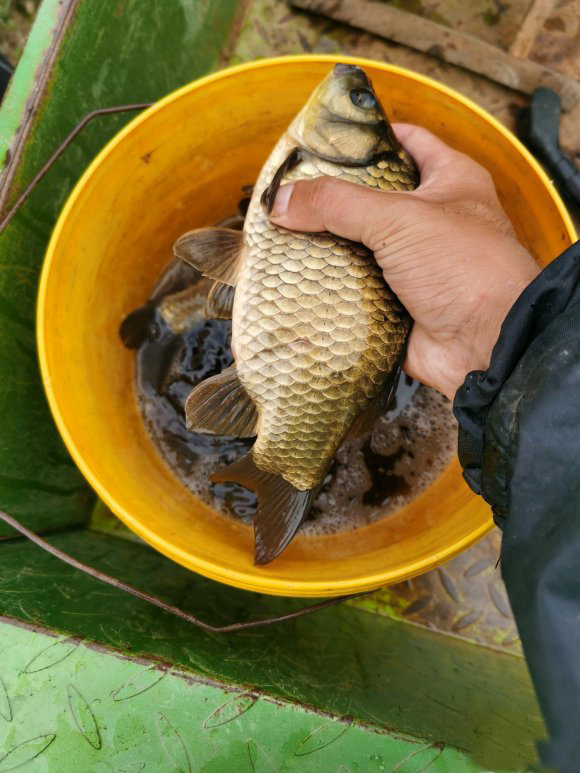 水库|气温骤降野钓鱼儿不进窝？它们藏在了这几个地方