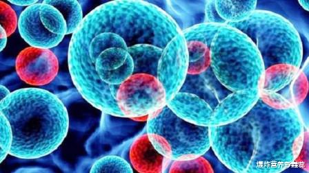 爆炸营养彭鑫蕊|男人刮胡子的频率高低,能说明什么?有人说:与寿命有关!