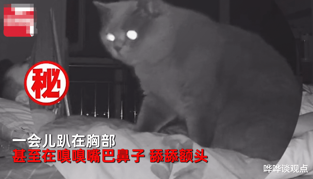 |男子每天起床都觉得很累，查看监控发现是只猫：看看你是否还活着