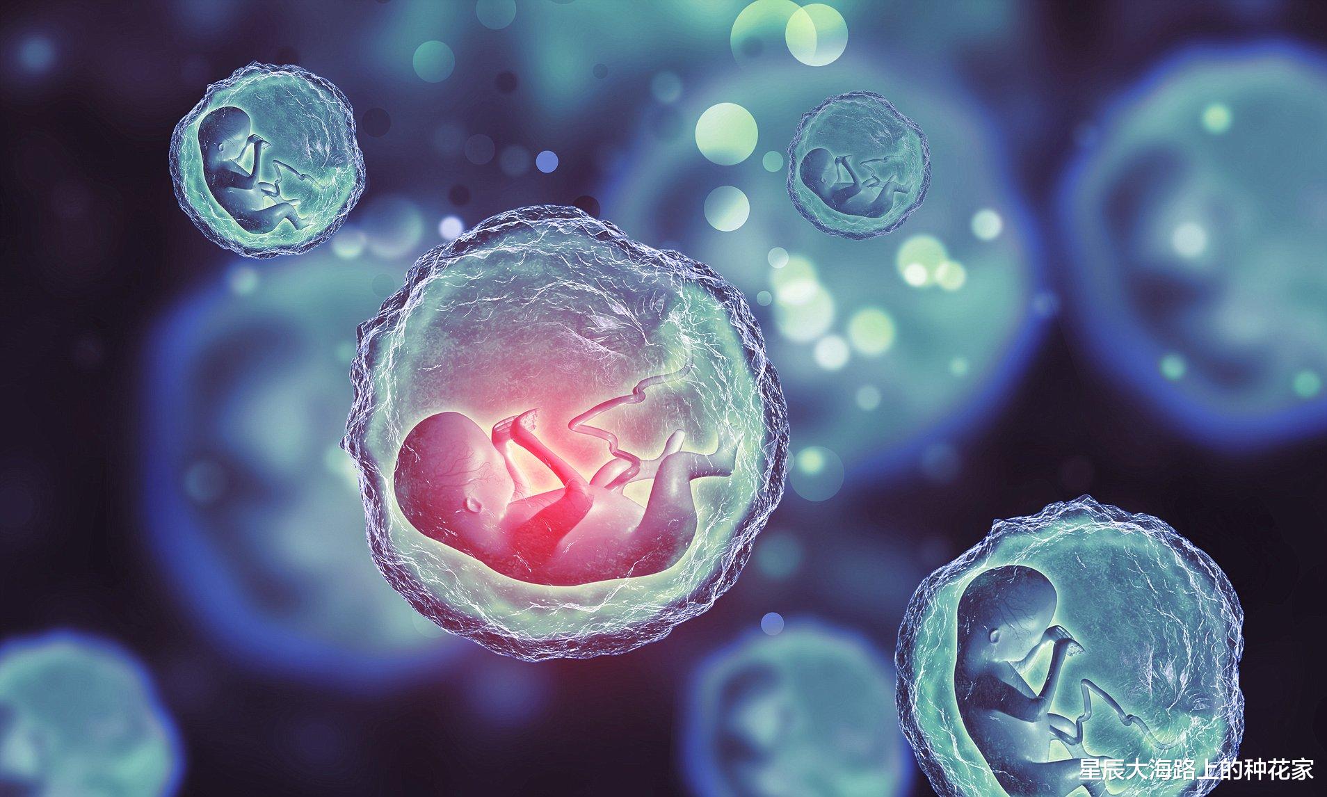 猩猩 艾滋病最早就在猩猩身上，人和猩猩相爱，到底会不会传染艾滋病？