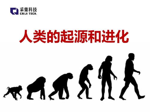 玛雅人 人类起源于外星人与猿人的混血儿