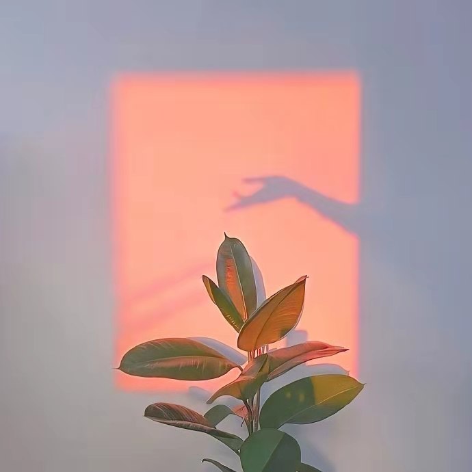 |这就是你说要好好搞钱后的真实写照