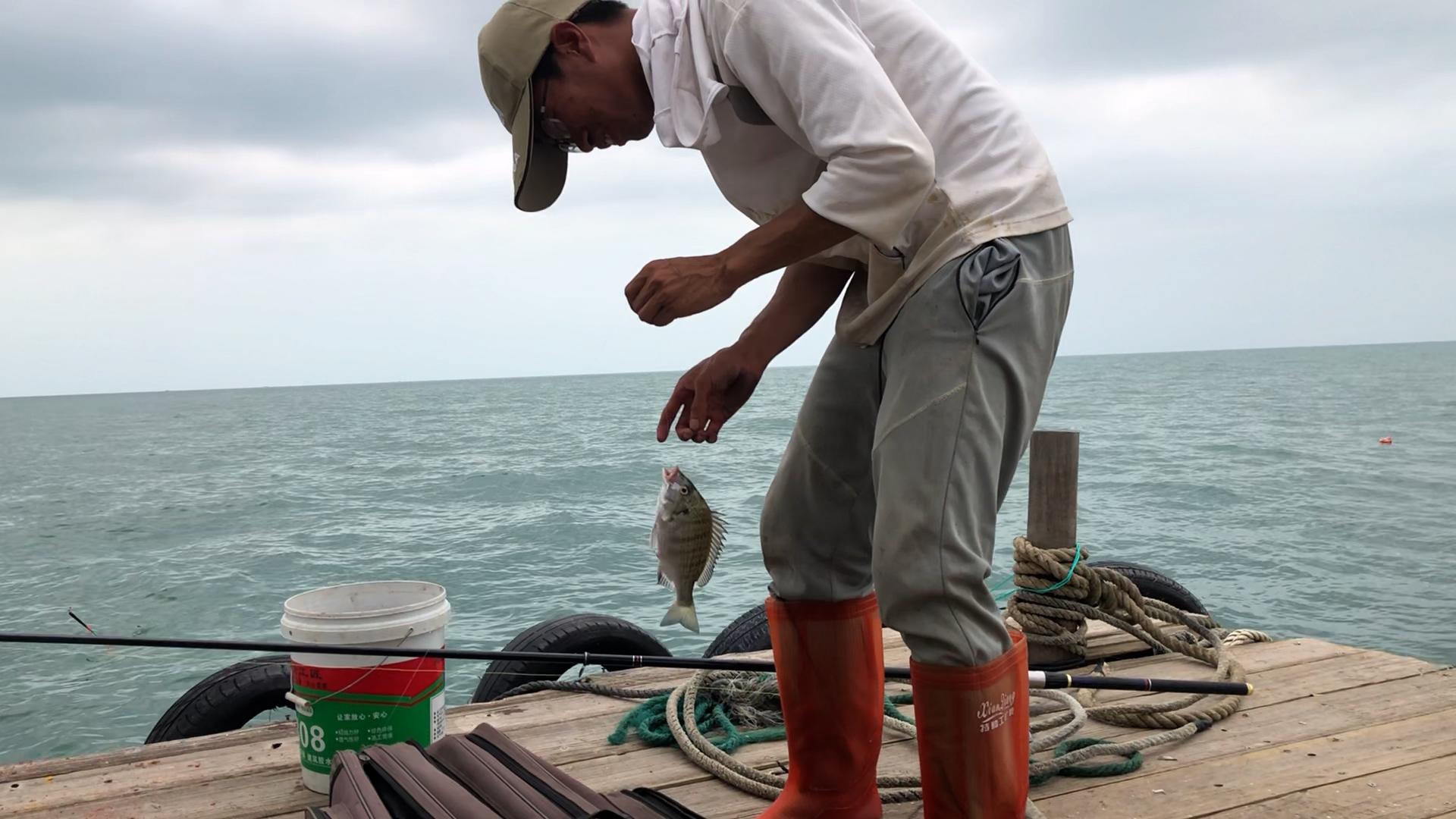 湛江|湛江钓鱼人阿智，出海遇黑鲷鱼群，一小时渔获卖500