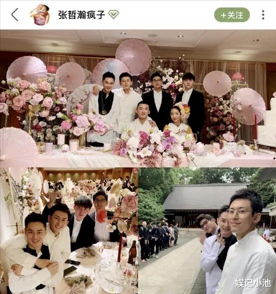 张哲瀚|被张哲瀚拖累的10位名人：有人自找麻烦有人损失惨重，有人被封号