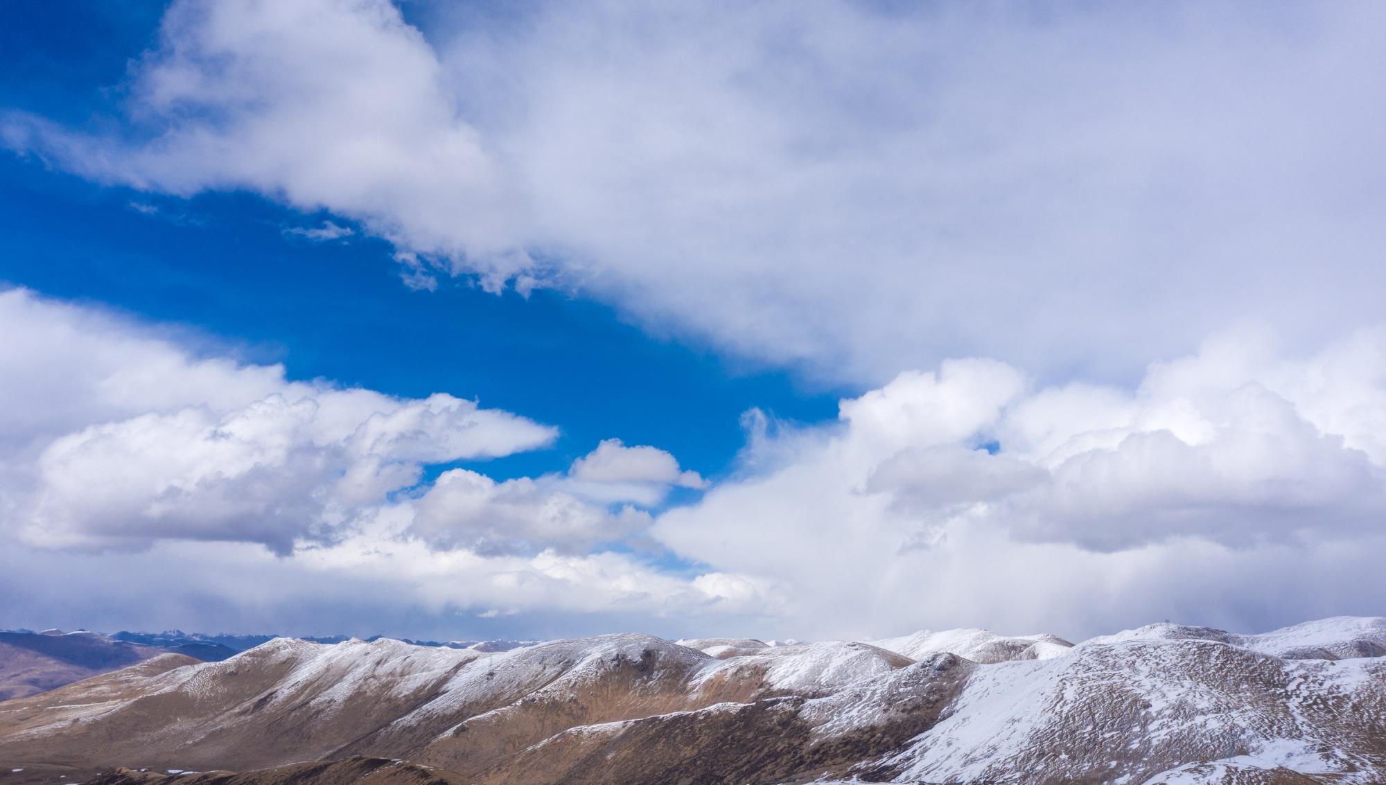 奶球妈咪聊|在海拔5013米的米拉山口卖玫瑰花是种什么样的体验