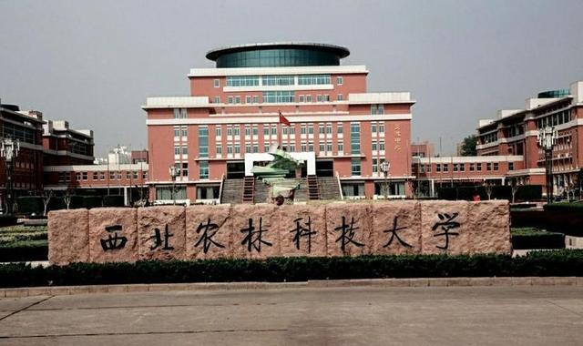 |湖南大学、东北大学和西北农大，2022年能否上演王者归来