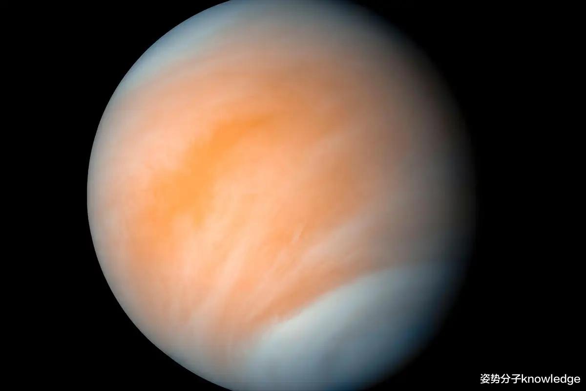 金星疑似发现生命?科学家发现关键物质,或许是好消息