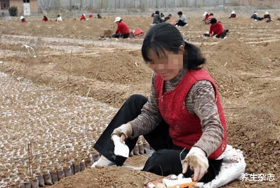 甲状腺肿瘤|52岁大姐爱吃一“零食”,甲状腺肿瘤越来越小,医生:值得借鉴