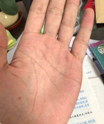 手相八字命理|财运不佳，注定一辈子难有大富贵的手相