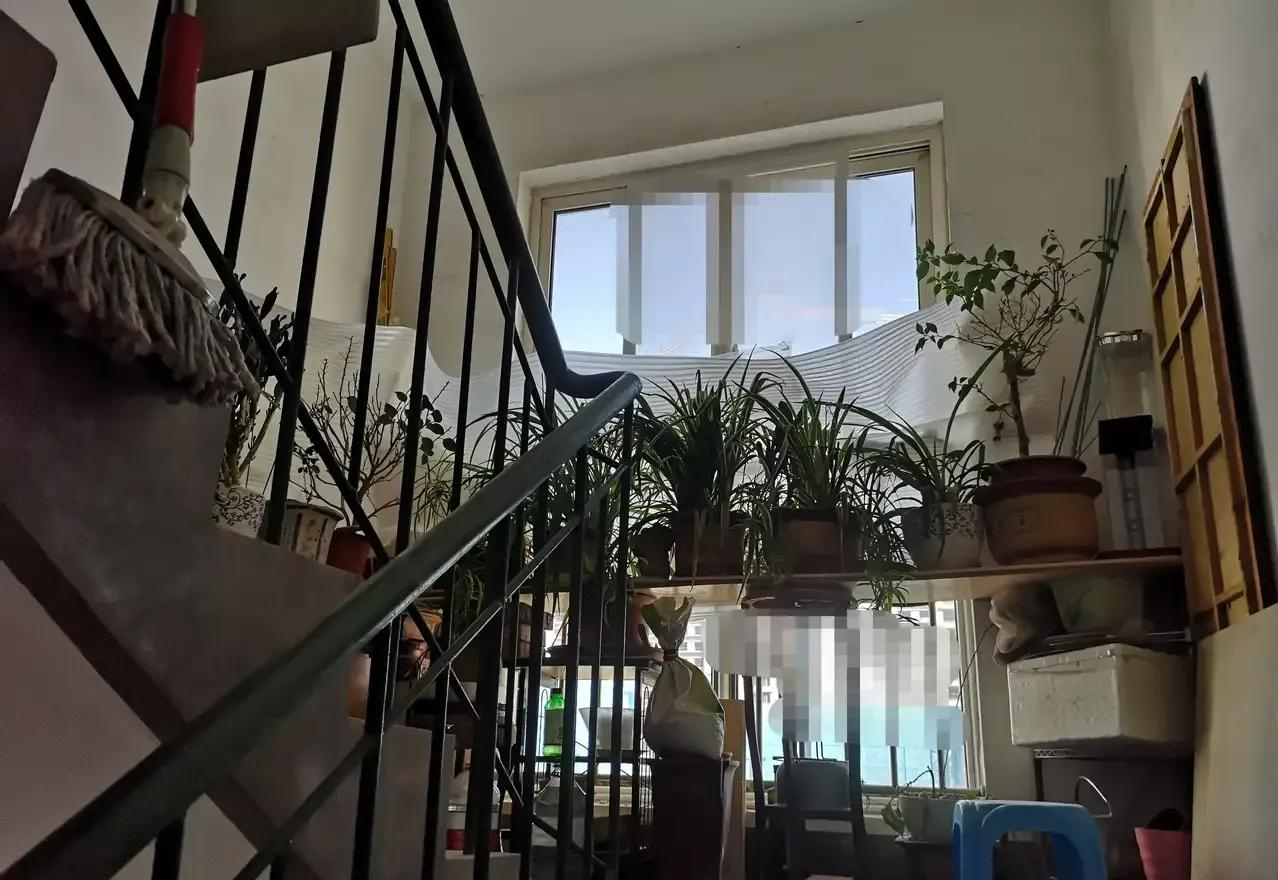 邻居占用走廊养花,影响到出行还有安全隐患,该怎么办?