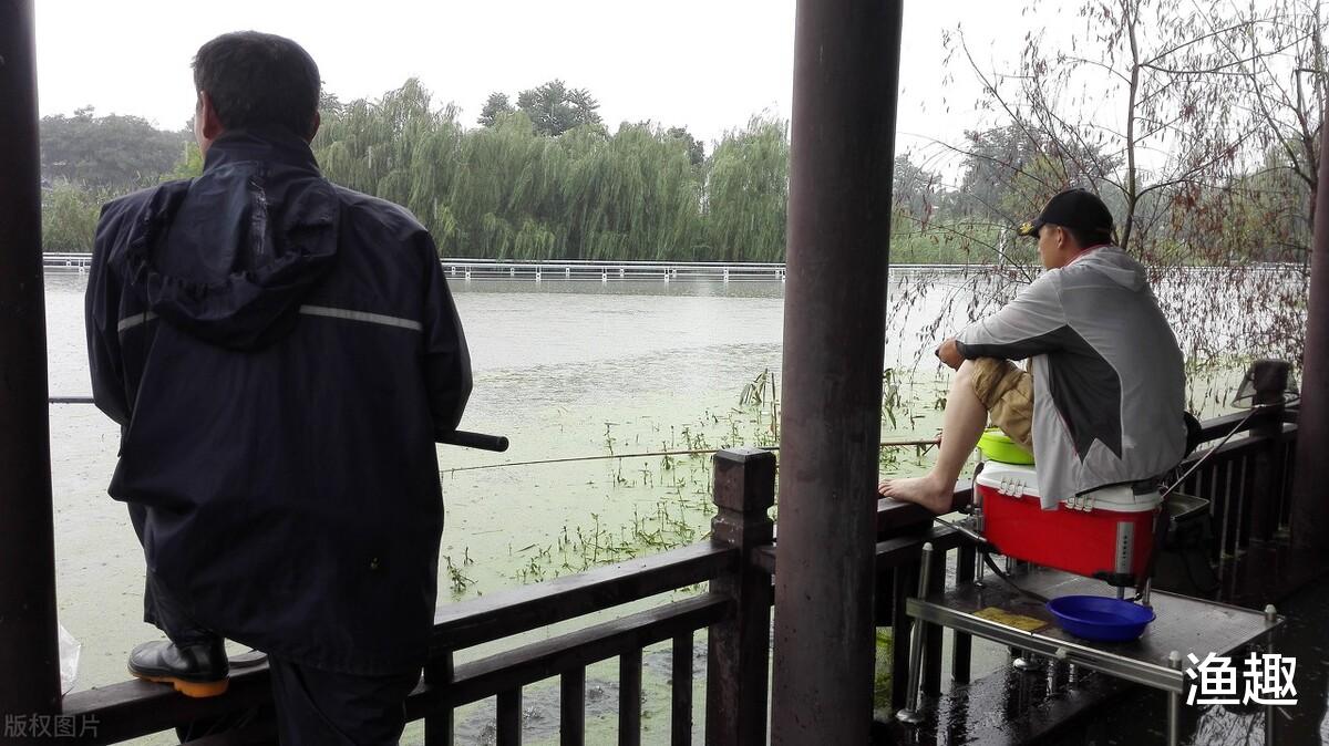 暴雨|为什么暴雨后都伴随着狂口?因为是这些因素打开鱼口