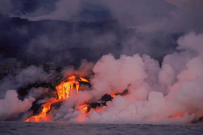 路痴 前往魔鬼岛 寻找活着的哥斯拉 这里的动物很迷人