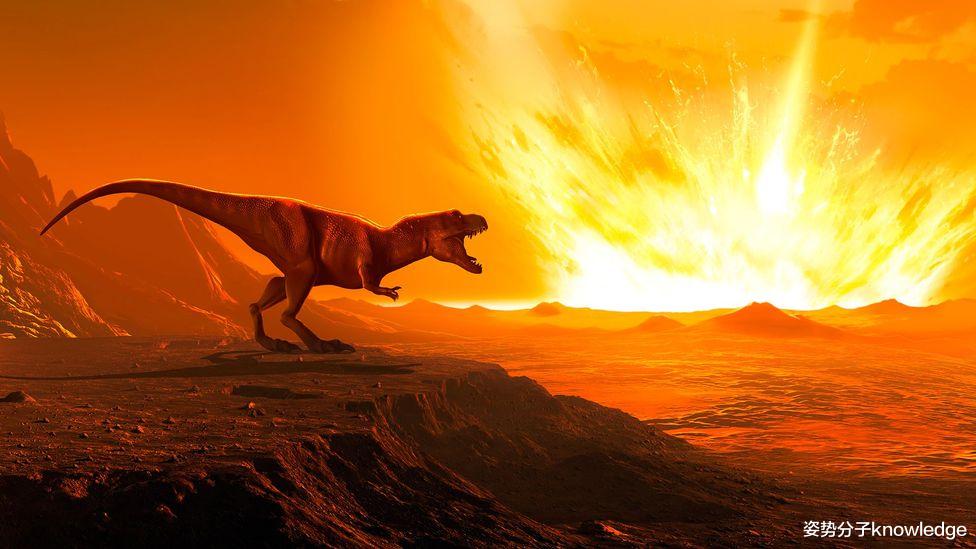 二叠纪 第六次生物大灭绝真的要来了吗？3大征兆出现，和2.52亿年前相似