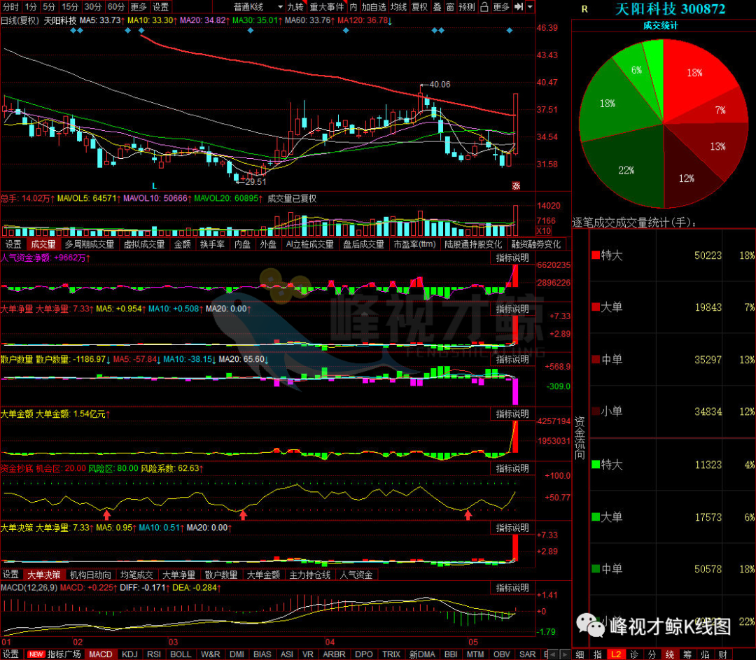 永安药业 5月17日主力最青睐的10只股票