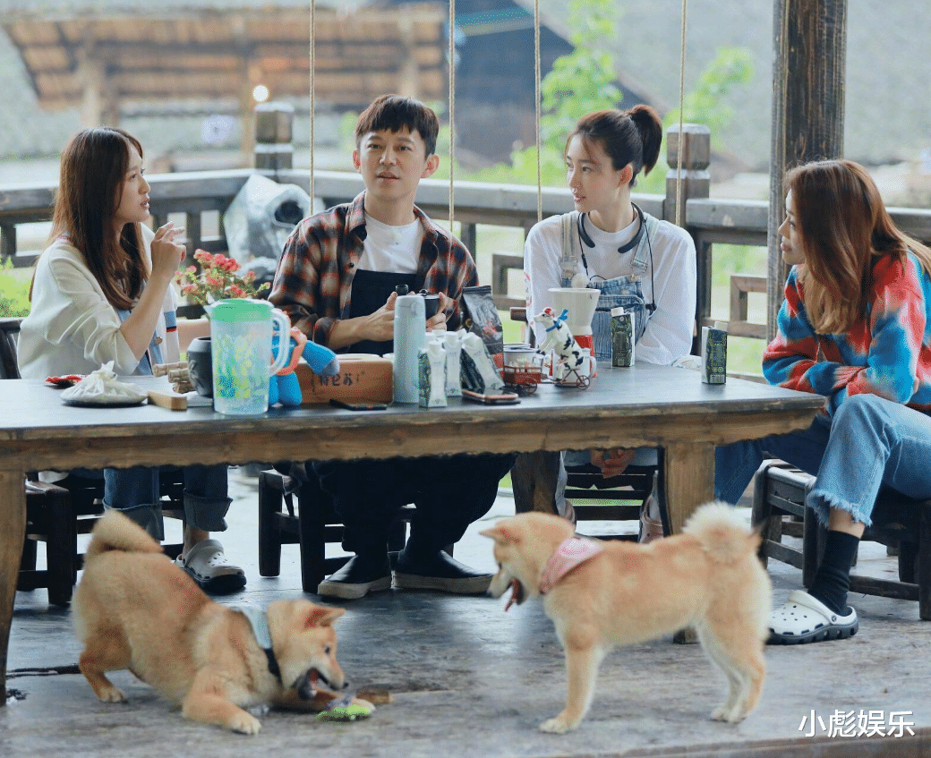 黄磊|《向往的生活》：黄磊对节目组太失望，他是真的无奈