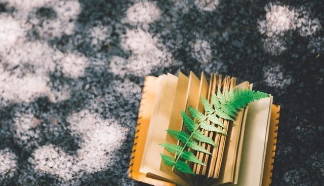 轻语妈妈|婚后20天,婆婆让她伺候小姑子坐月子:不干,除非给我8000元