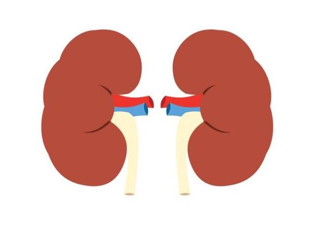 高血糖|流传千年的催生阳气的方子，只用三味药提振肾阳