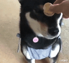 神回复 神回复：如果世界上所有的生物都开始反抗人类！人类可以支撑多久？