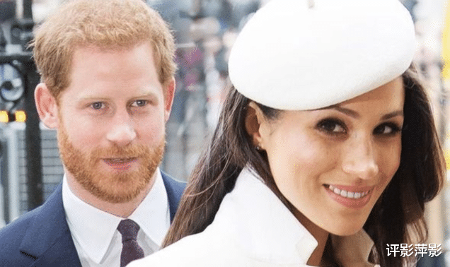 威廉|梅根哈里掉粉70万，高人气跌落太快，凯特威廉后来居上