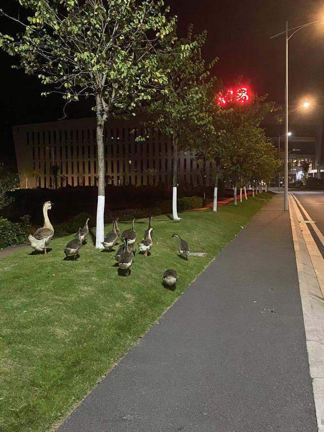 侍魂|这群在网易做游戏的年轻人，让我觉得游戏行业大有可为