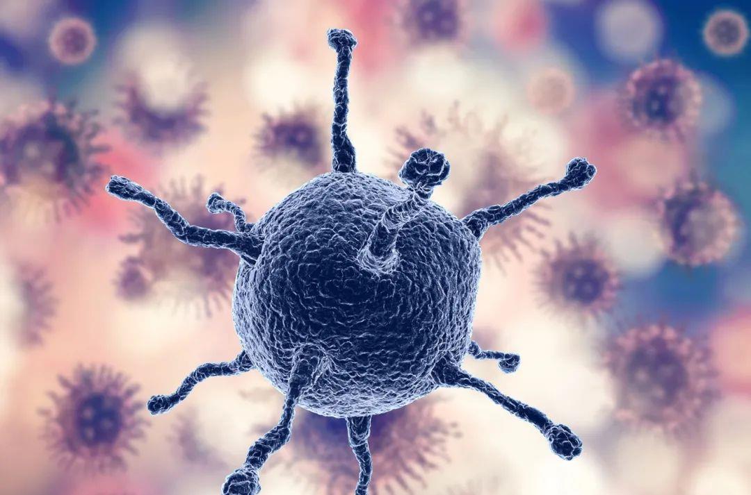 秃鹫 都说细菌最怕高温蒸煮，那为什么腐烂的肉煮熟以后却不能吃？