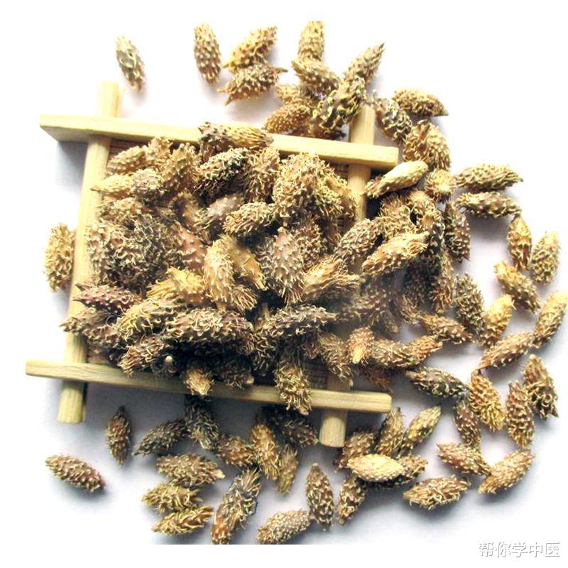 鼻窦炎|经验分享：治疗气虚鼻炎的方子！解决晨起头痛、多汗、爱感冒，请体会