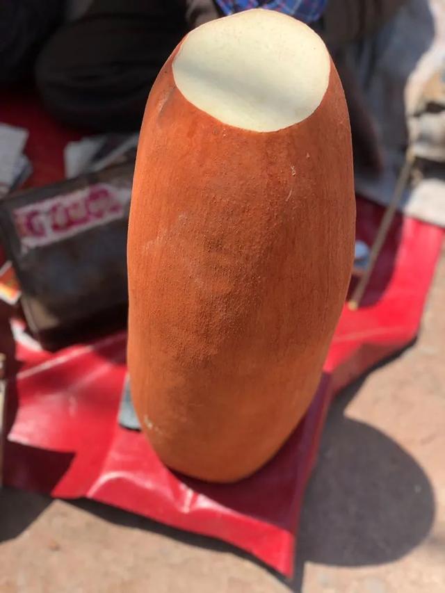 水母 趣读丨印度最带劲的水果，其实是一棵树