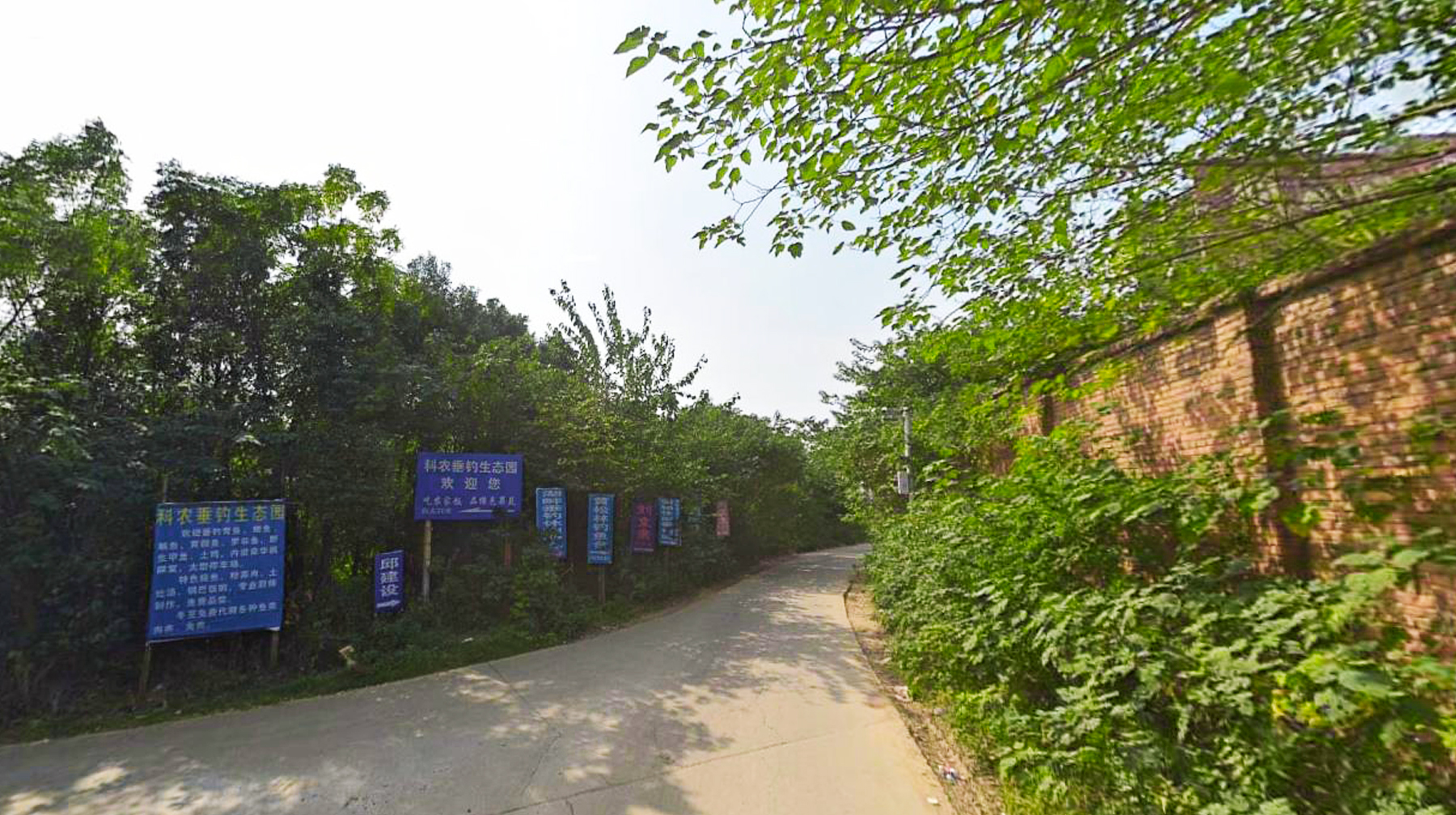 汤逊湖|武汉三环汤逊湖边郊野游：灌木丛衍生出无人区，垂钓园随处可见