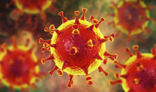 人类将面临另一个危机,比尔盖茨预言成真?与两次生物大灭绝有关