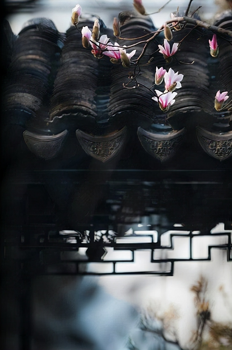 |中式院落，每一张都可以用来做桌面壁纸的庭院小景，唯美中式风