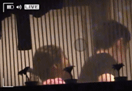 魏晨|又一对娱乐圈情侣官宣结婚,这次他们能长久吗