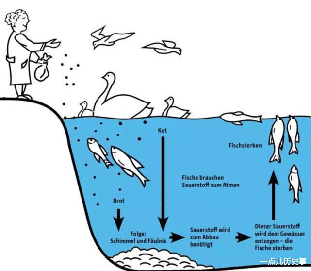 |在德国，想安安静静的钓鱼到底有多难？