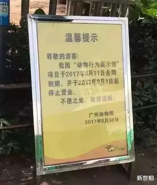 你喊的每一声“好萌”,背后都是她的“救命”