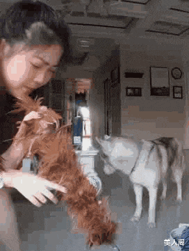 美人阁 小哥家里有矿啊，轮胎不要钱吗？哈哈哈