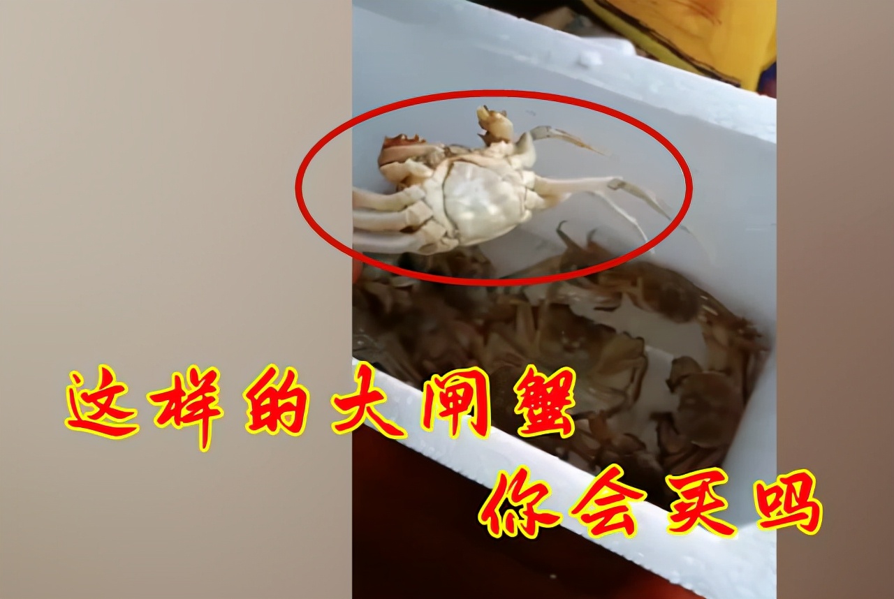 广东阳江：网购20只大闸蟹，68元包邮到家，网友：还有这好事儿？