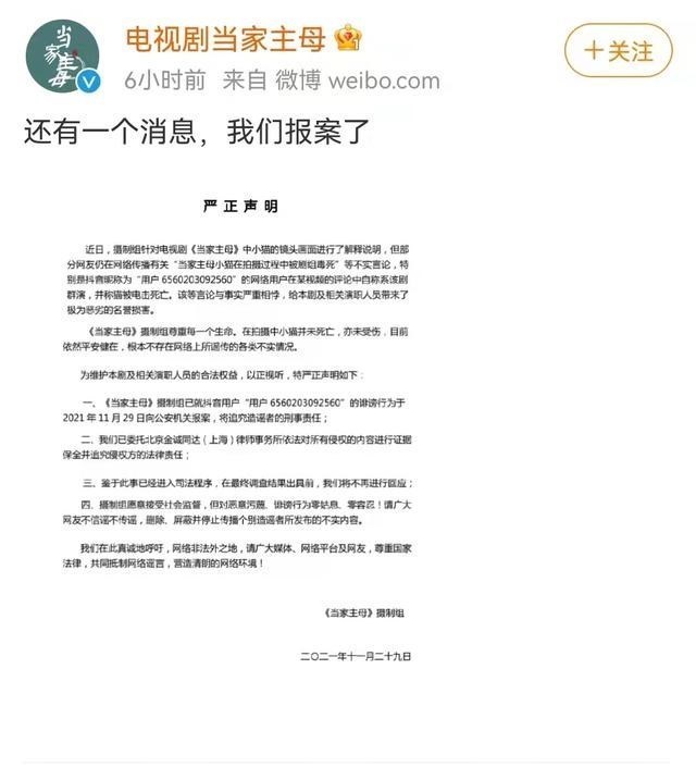 当家主母|猫不是毒死是电死！《当家主母》已经报案：网友不买账